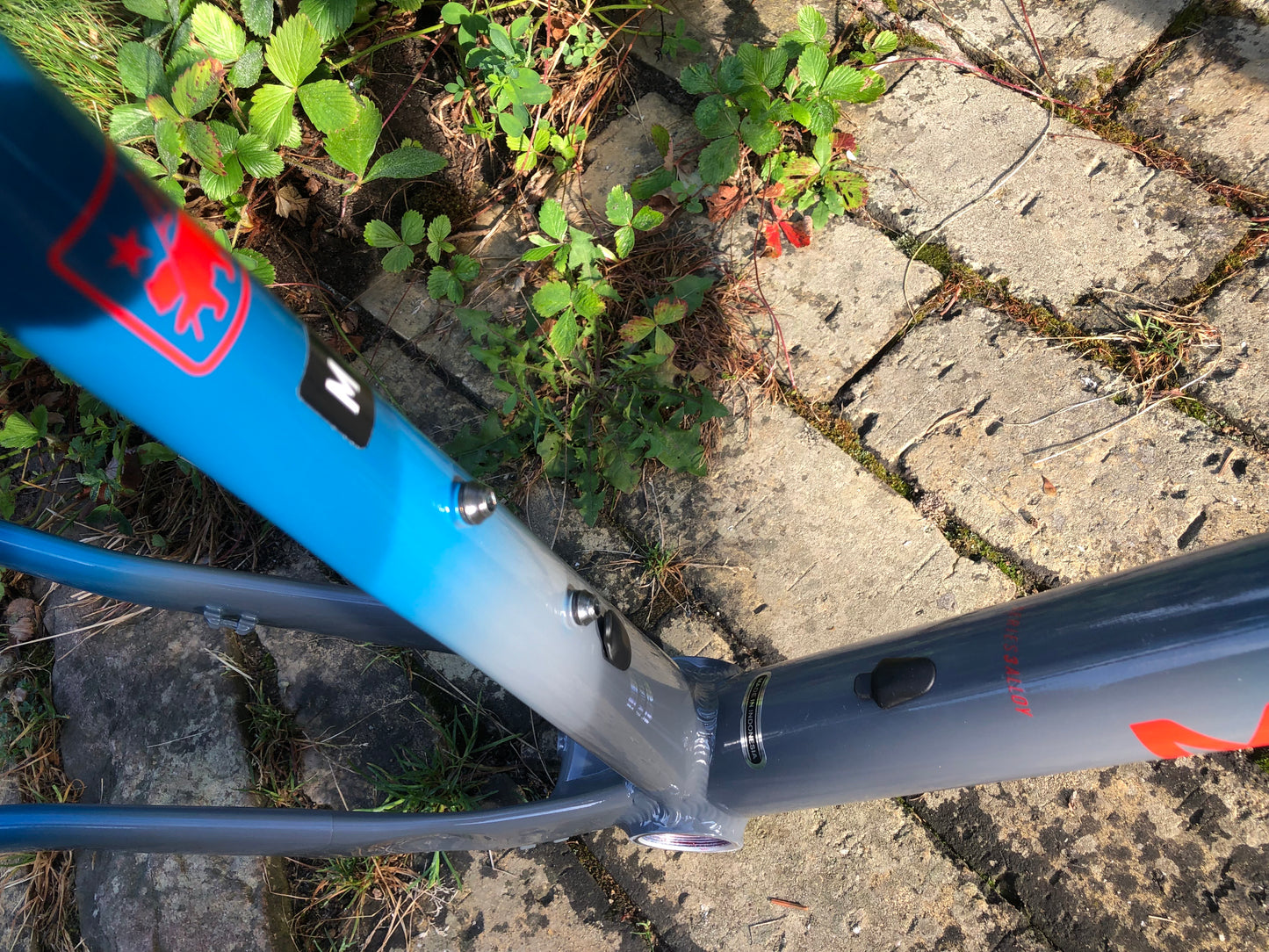 Marin Gestalt X10 rammekit